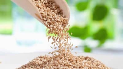 Health Tips: तुम्ही ही फेकून देताय का ‘या’ उपयोगी बिया ? हृदयरोगी, मधुमेहासाठी आहे अत्यंत फायदेशीर!