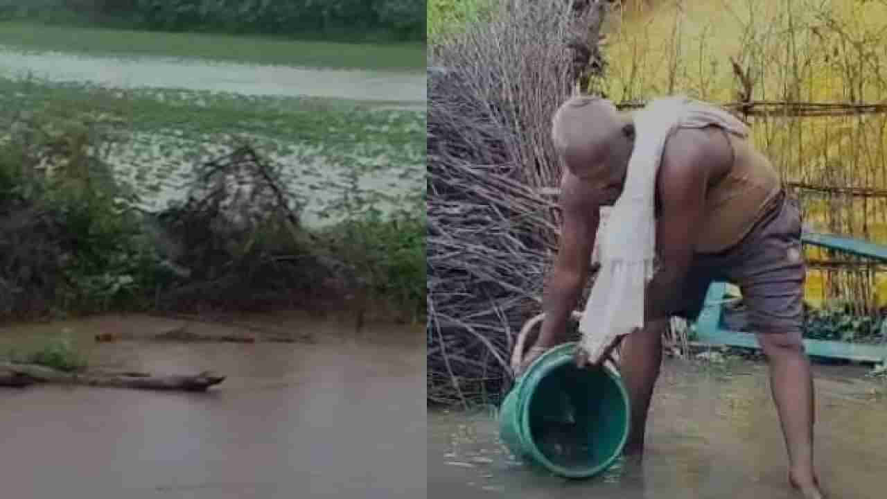 Amravati Rain : पश्चिम विदर्भात रेड अलर्ट, 18 हजार हेक्टरवरील पिकांचं नुकसान, अमरावती-बुलडाण्याला सर्वाधिक फटका