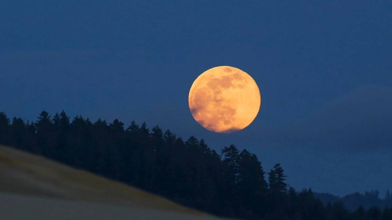 Supermoon: आज दिसणार 2022 चा सर्वात मोठा सुपरमून! सुपरमून म्हणजे नक्की काय? जाणून घ्या खास गोष्टी Supermoon: आज दिसणार 2022 चा सर्वात मोठा सुपरमून! सुपरमून म्हणजे नक्की काय? जाणून घ्या खास गोष्टी