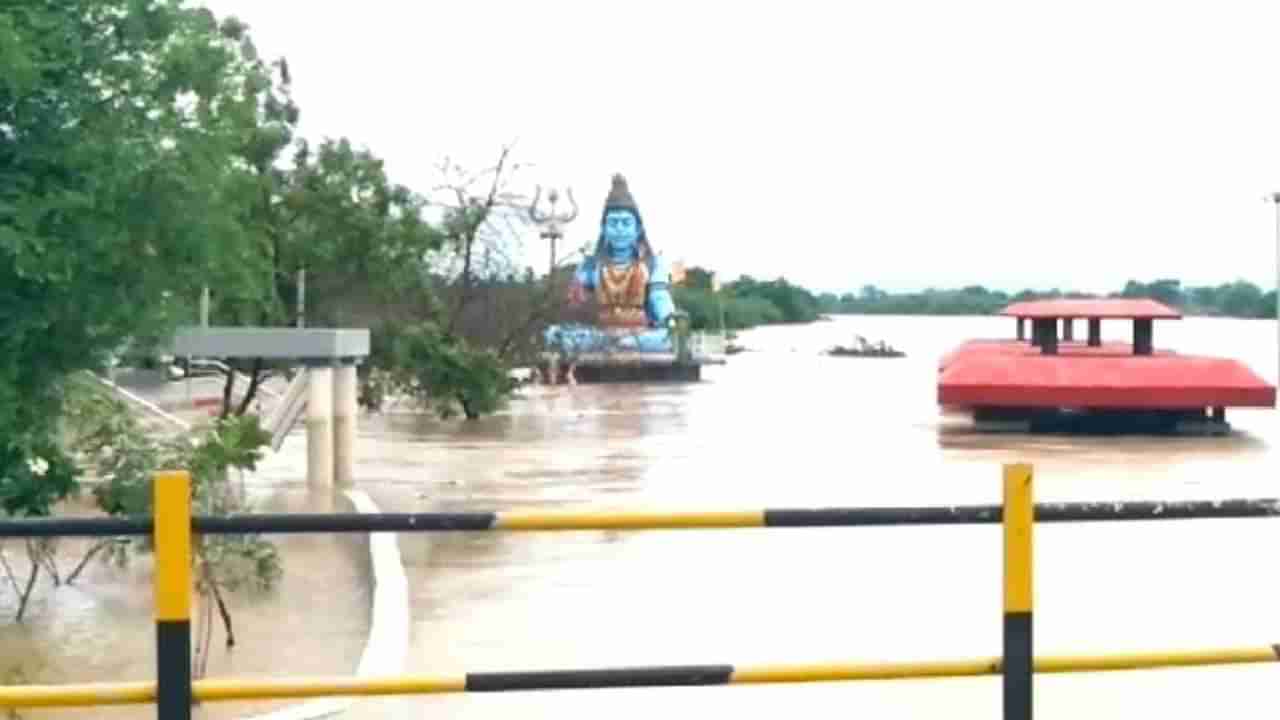 Wardha Flood : हिंगणघाट, समुद्रपूर तालुक्यात पावसाचा कहर, 39 बकऱ्या वाहून गेल्या, पूल वाहून गेल्याने 4 गावांचा संपर्क तुटला