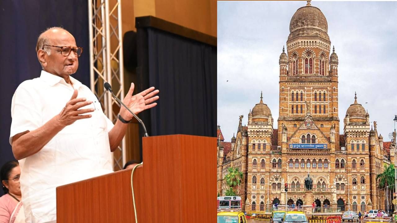 BMC Election 2022 : शरद पवार संकटात संधी शोधतायत? मुंबई महापालिकेसाठी कामाला लागण्याचे पवारांचे आदेश, इतिहास काय सांगतो?