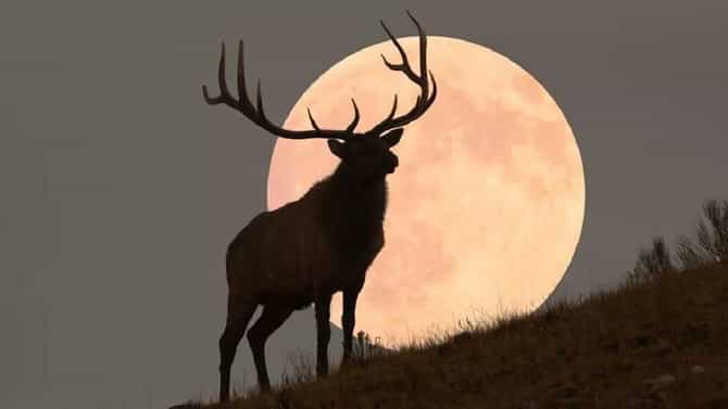 Supermoon 13 July 2022: रोजच्या चांदोबाने काल मध्यरात्री बदलले रूप; सुपरमुनमुळे चंद्राची चमक 15 टक्क्यांनी वाढली