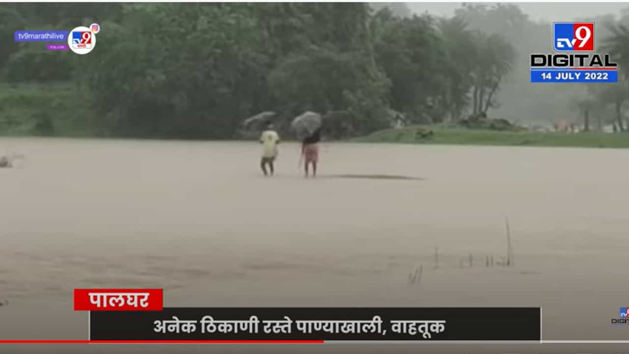 पालघरमध्ये सलग सहाव्या दिवशी पाऊस सुरूच, शेतकऱ्यांचं प्रचंड नुकसान