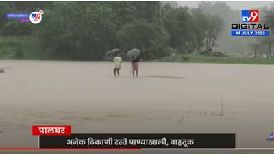 पालघरमध्ये सलग सहाव्या दिवशी पाऊस सुरूच, शेतकऱ्यांचं प्रचंड नुकसान