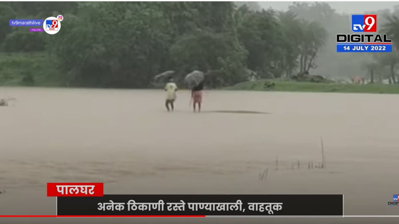 पालघरमध्ये सलग सहाव्या दिवशी पाऊस सुरूच, शेतकऱ्यांचं प्रचंड नुकसान पालघरमध्ये सलग सहाव्या दिवशी पाऊस सुरूच, शेतकऱ्यांचं प्रचंड नुकसान