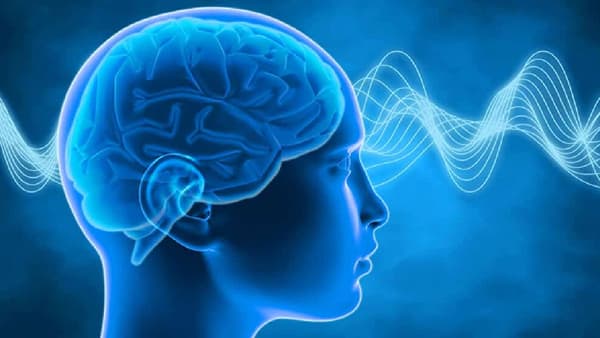 World Brain Day 2022: मुलांचा मेंदू संगणकापेक्षाही वेगाने धावेल, त्यांच्या आहारात करा ‘या’ पदार्थांचा समावेश!