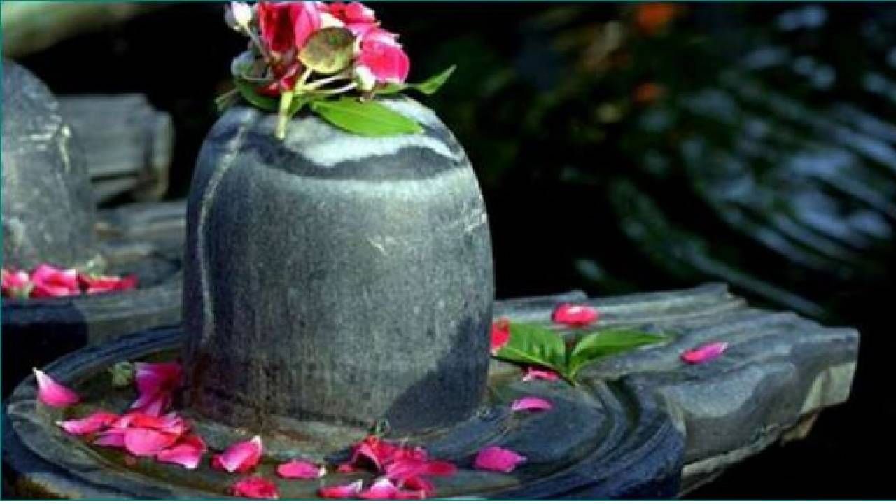 Shrawan 2022: श्रावणात महादेवाला अर्पण करा 'ही' पाच फुलं, मिळेल सुख-समृद्धी