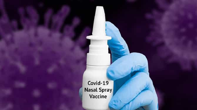 Corona Virus : आता 48 तासात होणार कोरोना विषाणूचा सफाया, मुंबईत एका कंपनीने बनवला खास नेझल स्प्रे