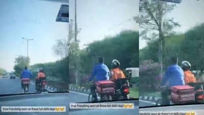 Zomato Swiggy: यारा तेरी यारी को... या व्हायरल व्हिडिओत लोकांना मैत्रीतला देव दिसला!