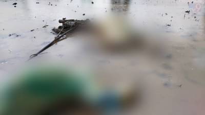 Pune : हृदय पिळवटून टाकणारी घटना, भात लागवड करतानाच विजेच्या धक्क्याने बैलजोडीचा मृत्यू, नशिबाने वाचले शेतकरी