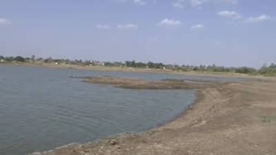 Beed : राज्यात धो-धो बरसला पाऊस, बीडचे चित्र मात्र वेगळेच, पिके बहरली पण पाणीसाठ्याचे चित्र काय ?