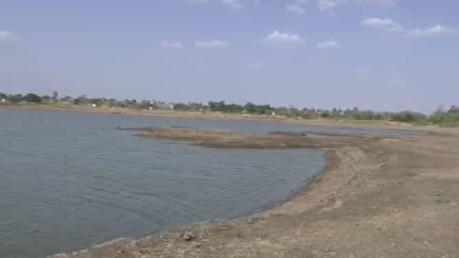 Beed : राज्यात धो-धो बरसला पाऊस, बीडचे चित्र मात्र वेगळेच, पिके बहरली पण पाणीसाठ्याचे चित्र काय ?