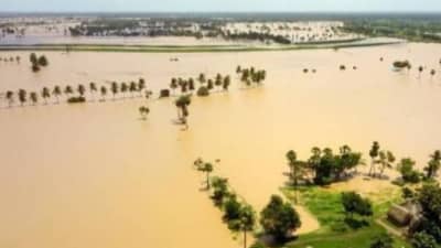 Vidarbha Flood : गोदावरी - प्राणहिता नद्यांचा विसर्ग वाढणार, नदी काठच्या लोकांना सतर्कतेचा इशारा, अतिवृष्टीने राज्यातील 104 जणांचा बळी