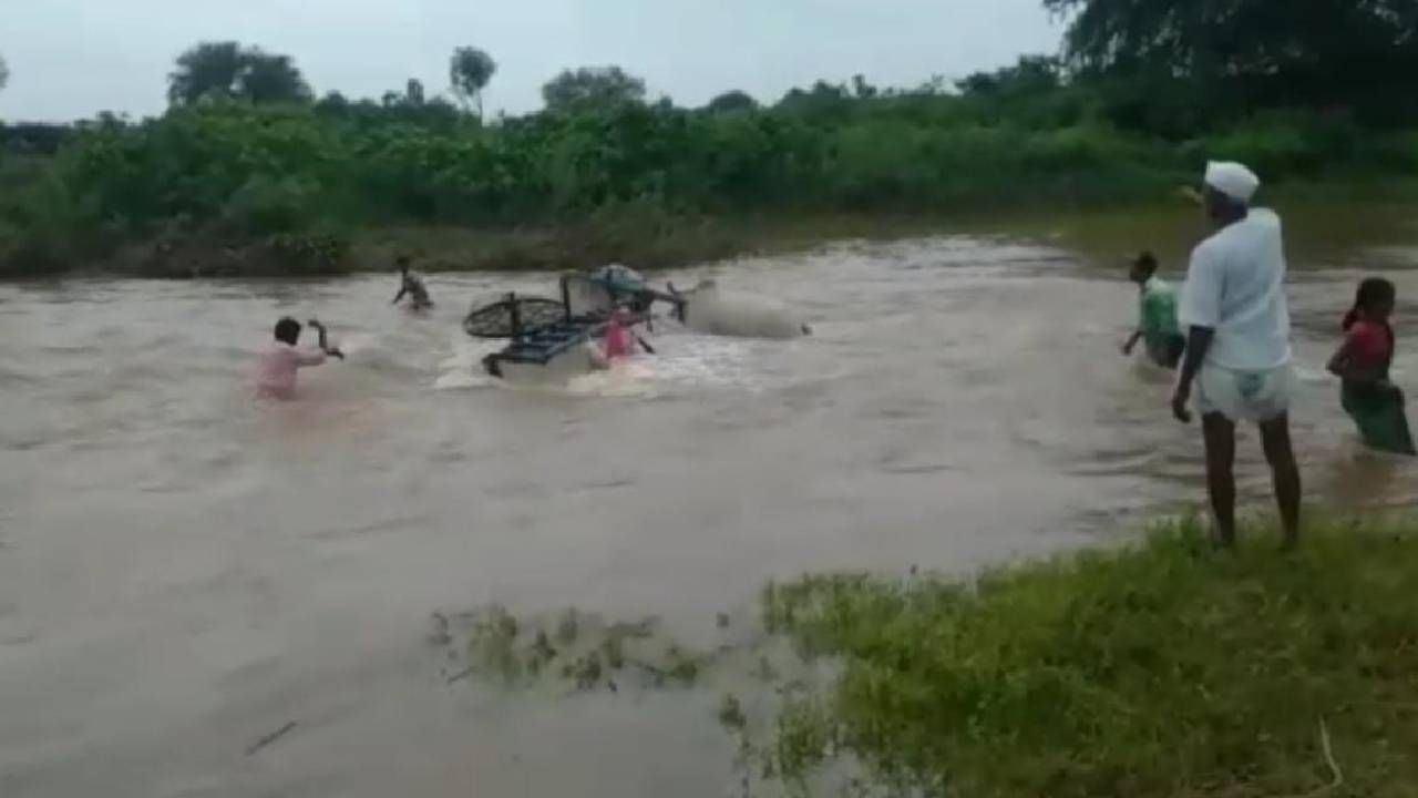 Video Chandrapur Flood : चंद्रपुरातील नांदा पुलावरून बैलगाडी नाल्यात पडली, दोन शेतकऱ्यांसह बैलगाडीला बाहेर काढण्यात गावकऱ्यांना यश