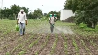 Latur Market : वावरात सोयाबीन पाण्यात अन् बाजारपेठेत दर कोमात, शेतकऱ्यांसाठी सर्वकाही नुकसानीचेच