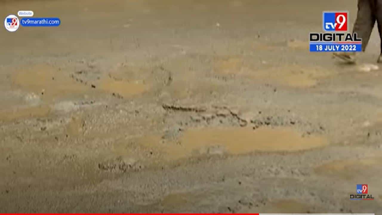 नाशिक खड्ड्यांमुळे नागरिकांना जीव  मुठीत धरून प्रवास करावा लागतोय