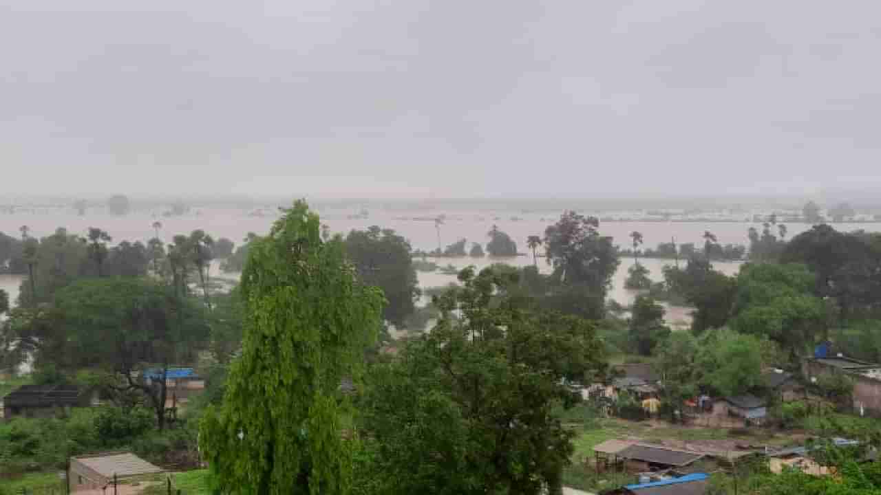 Gadchiroli Flood : गडचिरोलीतील चारही नद्यांना महापूर, चामोर्शी-गडचिरोली व आलापल्ली-भामरागड मार्ग बंद, सिरोंचातील 40 गावांमध्ये शेतीचे नुकसान