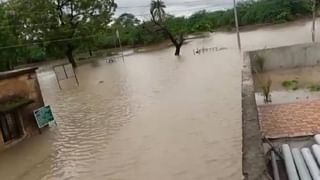 Gadchiroli Flood : गडचिरोलीतील चारही नद्यांना महापूर, चामोर्शी-गडचिरोली व आलापल्ली-भामरागड मार्ग बंद, सिरोंचातील 40 गावांमध्ये शेतीचे नुकसान