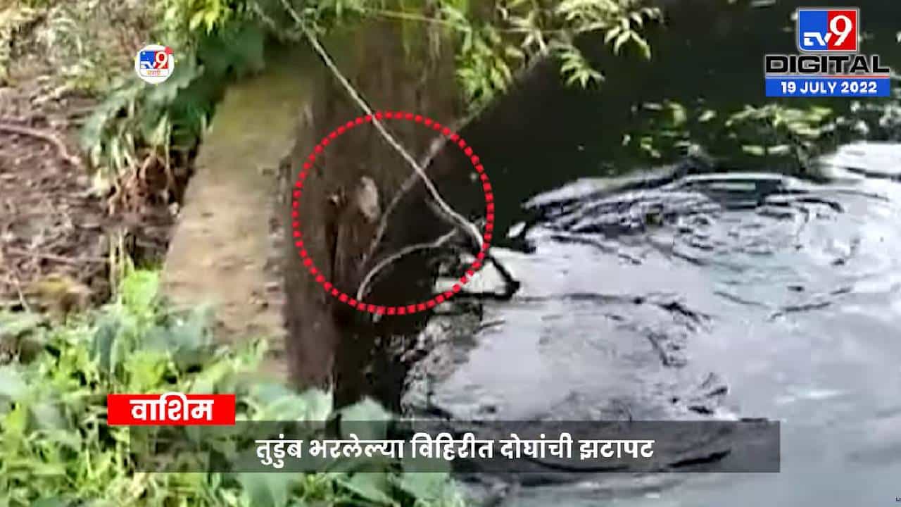 Viral Video: सगळी ताकद पणाला लावली,आयुष्य परत जिंकलं! सापाच्या तावडीतून जीव परत मिळवला, बघा व्हिडीओ.