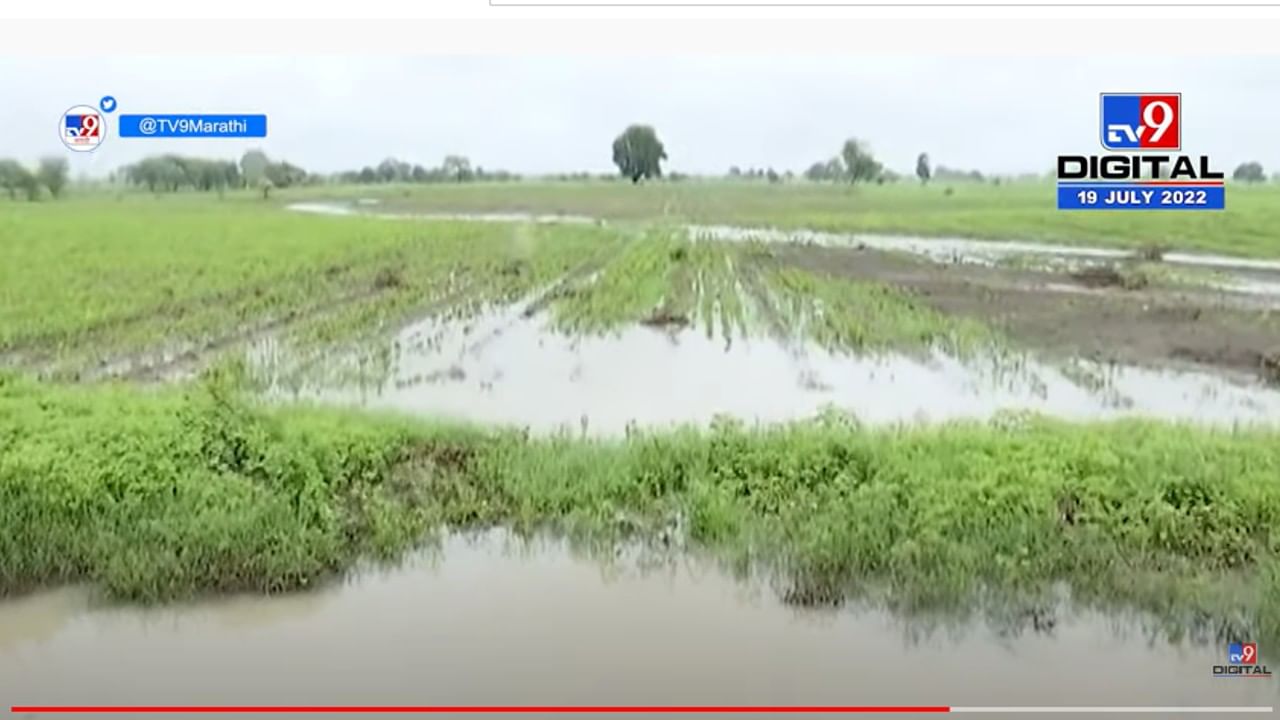 Wardha Flood Impact: वर्धा जिल्ह्यातील महापुराच्या वेदना, पहा आढावा