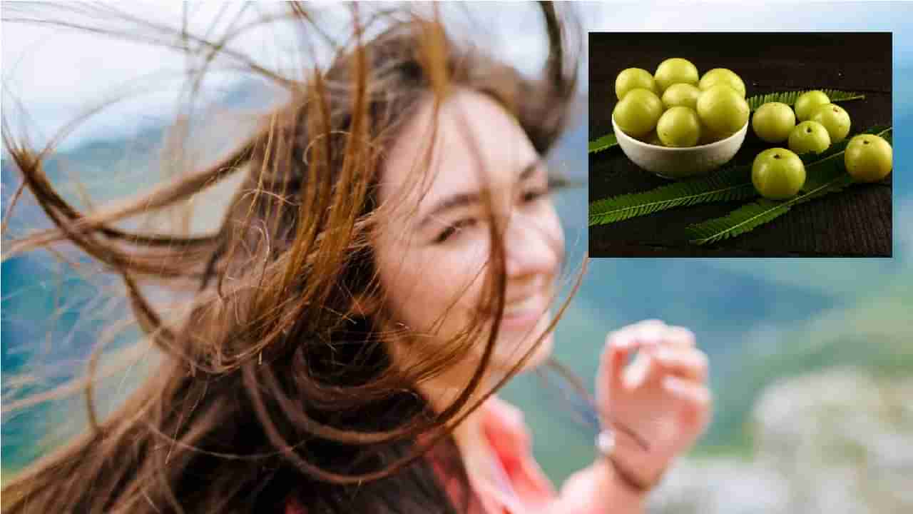 Hair Care Tips: केसांच्या समस्यांनी हैराण? करा आवळ्याचा उपयोग, जाणून घ्या फायदे