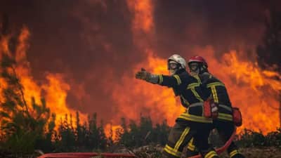 United Nations : निम्मी लोकसंख्या सामूहिक आत्महत्येच्या मार्गावर, संयुक्त राष्ट्रसंघाचा गंभीर इशारा