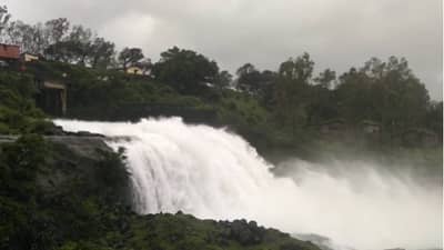 Bhandardara | भंडारदरा धरणातून 3500 क्युसेक पाण्याचा विसर्ग सुरू, दोन दिवसांपासून पावसाचा जोर पुन्हा वाढला!