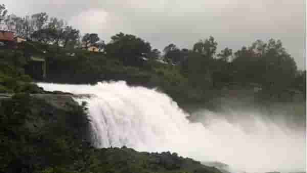 Bhandardara | भंडारदरा धरणातून 3500 क्युसेक पाण्याचा विसर्ग सुरू, दोन दिवसांपासून पावसाचा जोर पुन्हा वाढला!