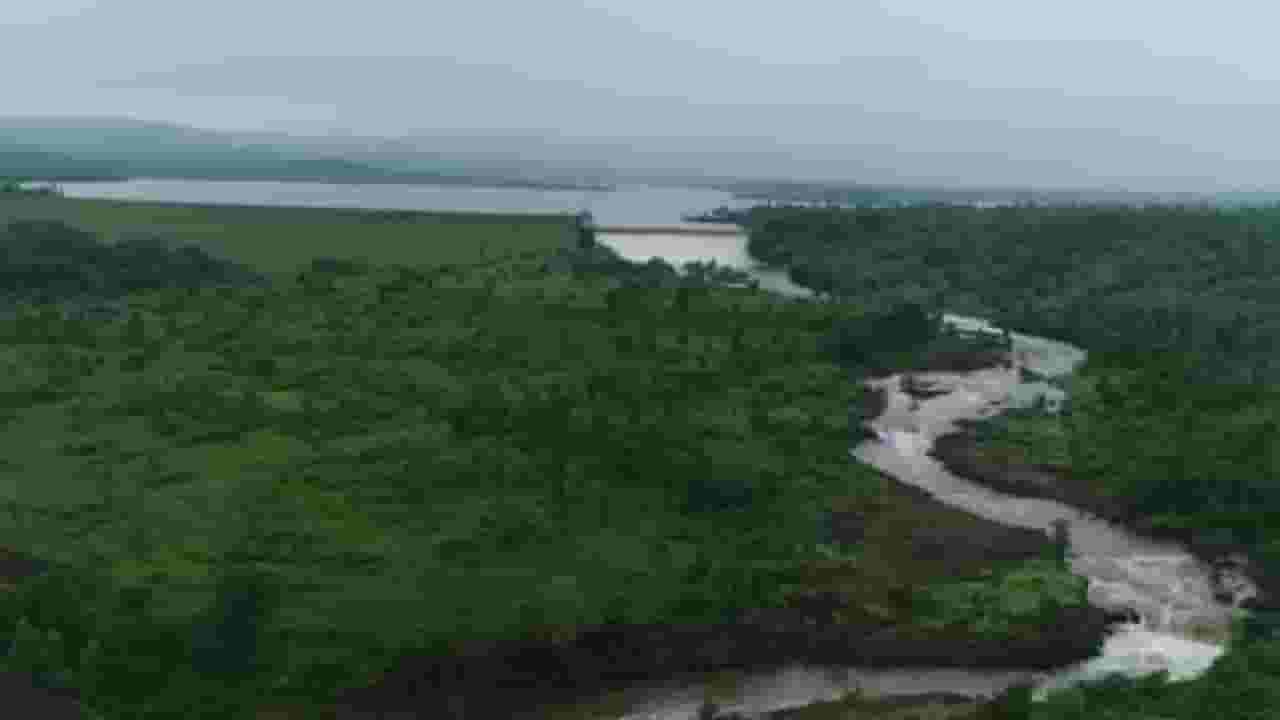 Satpuda Parvat: हिरवाईने नटलेला सातपुडा! Satpuda Parvat: हिरवाईने नटलेला सातपुडा!