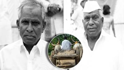 रस्त्यावर लटकलेल्या तारा बैलांच्या शिंगात अडकल्या! बैलजोडीसह सख्खे भाऊ शॉक लागून जागीच ठार