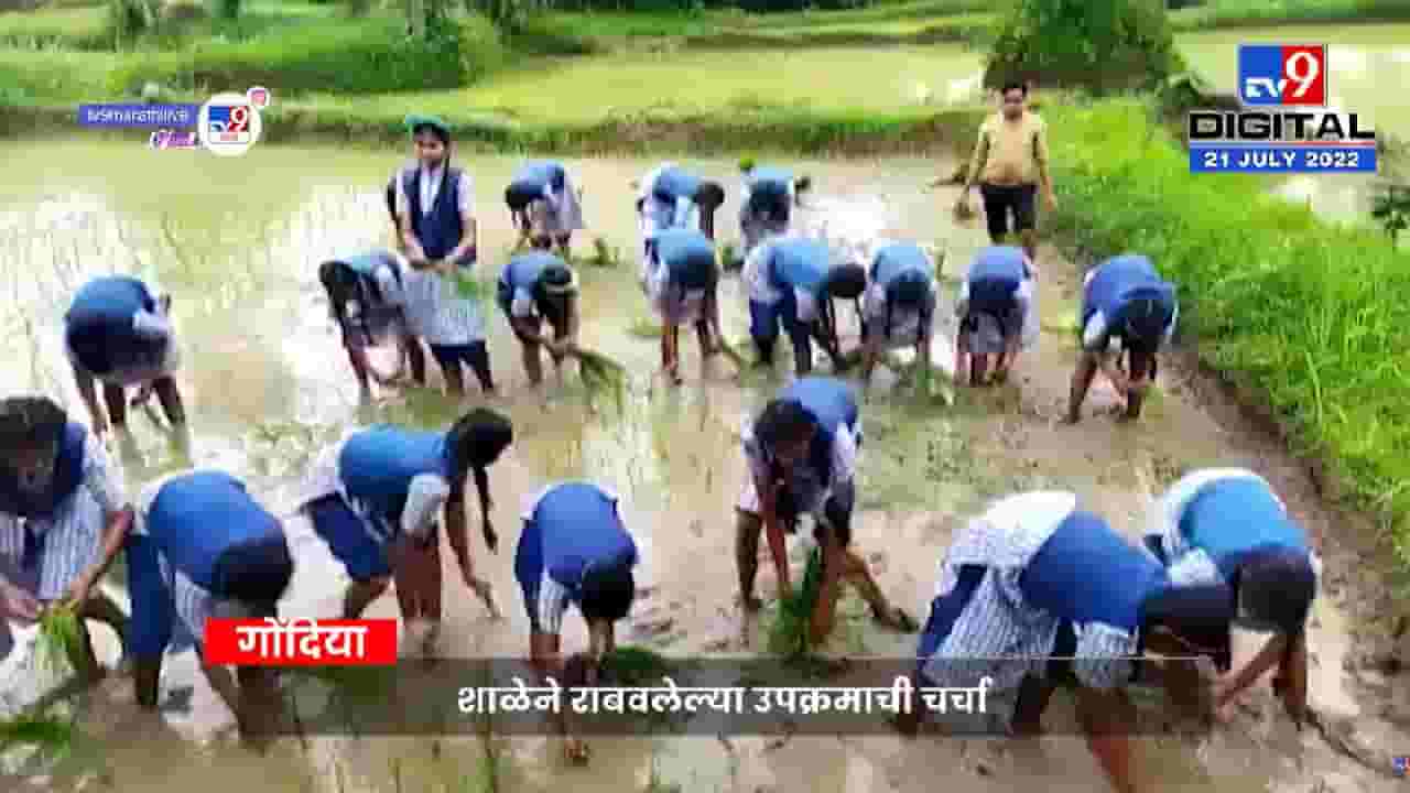 भाताची शास्त्रीय पद्धतीनं भात लावणी! विद्यार्थिनींच्या व्हिडिओची सगळीकडे चर्चा