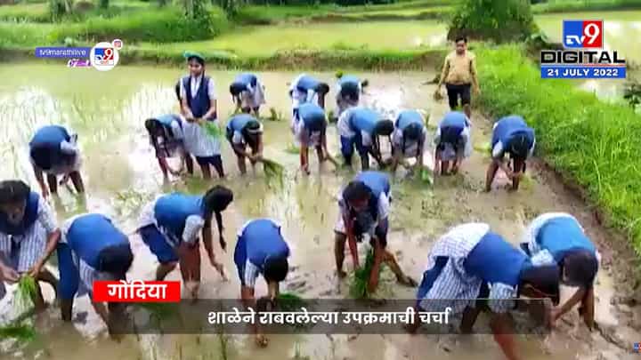 भाताची शास्त्रीय पद्धतीनं भात लावणी! विद्यार्थिनींच्या व्हिडिओची सगळीकडे चर्चा भाताची शास्त्रीय पद्धतीनं भात लावणी! विद्यार्थिनींच्या व्हिडिओची सगळीकडे चर्चा