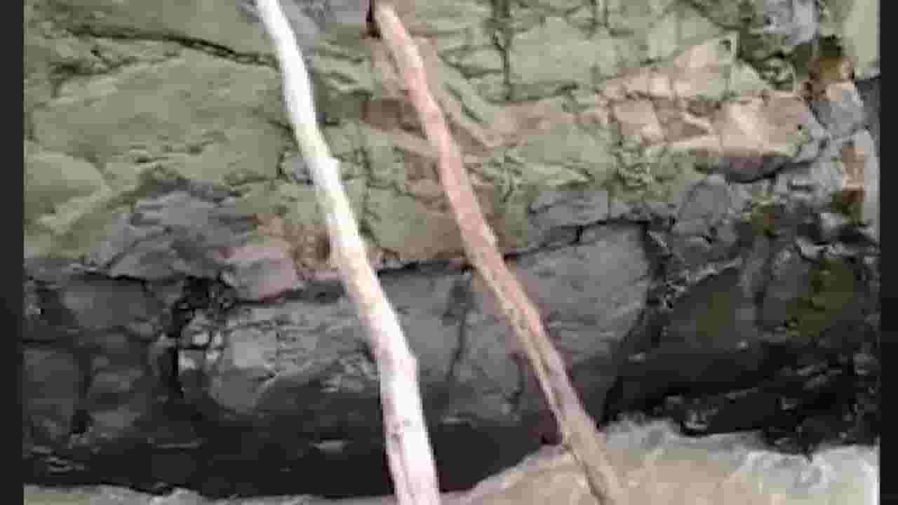 मुसळधार पावसामुळे वाहून गेला आणि आदित्य ठाकरेंमुळे चर्चेत आला! मुसळधार पावसामुळे वाहून गेला आणि आदित्य ठाकरेंमुळे चर्चेत आला!