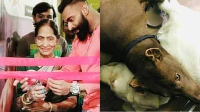 Pet dog attack: एक तास पिटबुल मालकिणीच्या शरिराचे लचके तोडत होता, दगडं मारली तरी ऐकत नव्हता, शेजारच्यांनी सांगितलं नेमकं तेव्हा काय घडलं?