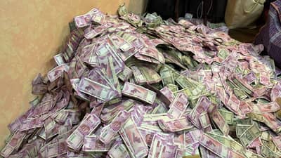 West Bengal ED Raid : बंगालचे मंत्री पार्थ चॅटर्जींच्या निकटवर्तीयांच्या घरात सापडले घबाड, ईडीची छापेमारी सुरुच