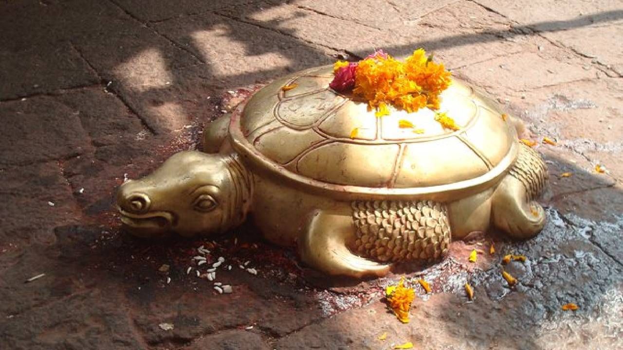 Spritual: मंदिराच्या बाहेर कासव असण्याचे महत्त्व