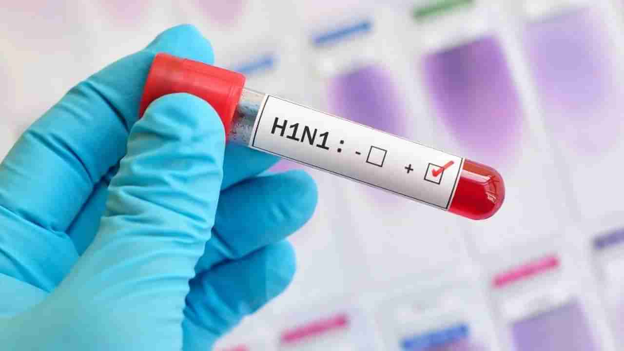 Maharashtra Swine Flu News : स्वाईन फ्लूमुळे राज्यात आतापर्यंत 7 जणांचा मृत्यू! मुंबईत रुग्णांची संख्या सर्वाधिक