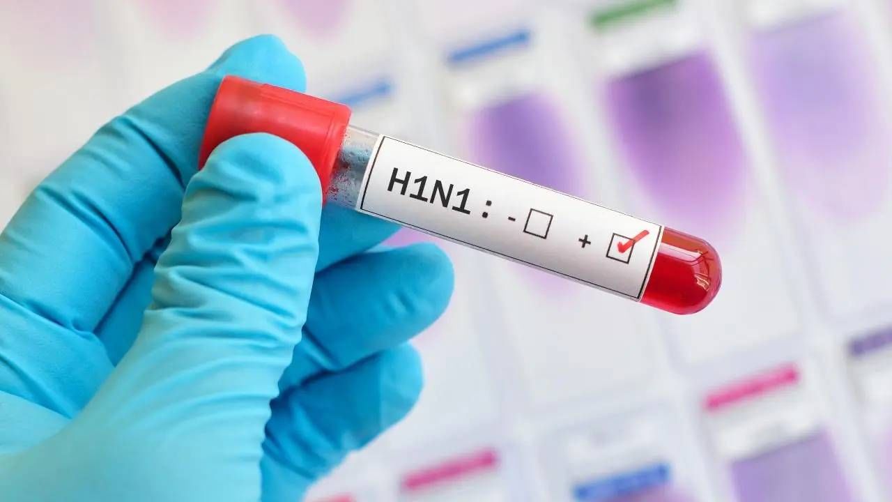 Maharashtra Swine Flu News : स्वाईन फ्लूमुळे राज्यात आतापर्यंत 7 जणांचा मृत्यू! मुंबईत रुग्णांची संख्या सर्वाधिक