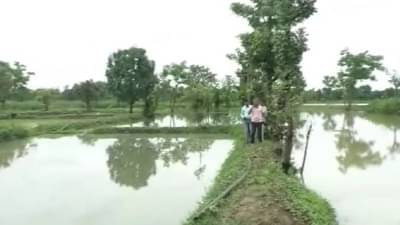 Gondia : पाऊस आला धाऊन, पिकं गेली वाहून, गोंदियात 208 हेक्टरातील पिकांवर पाणी, कृषी विभागाचे धोरण काय?