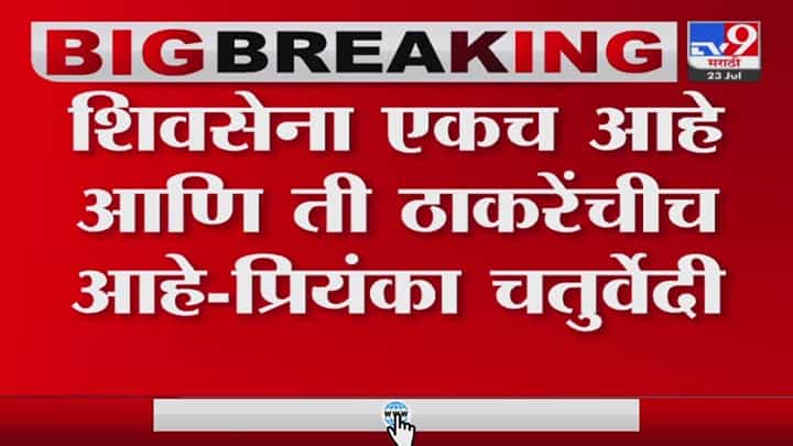 ...आताच का तुम्हाला हिंदुत्व आठवलं ...आताच का तुम्हाला हिंदुत्व आठवलं