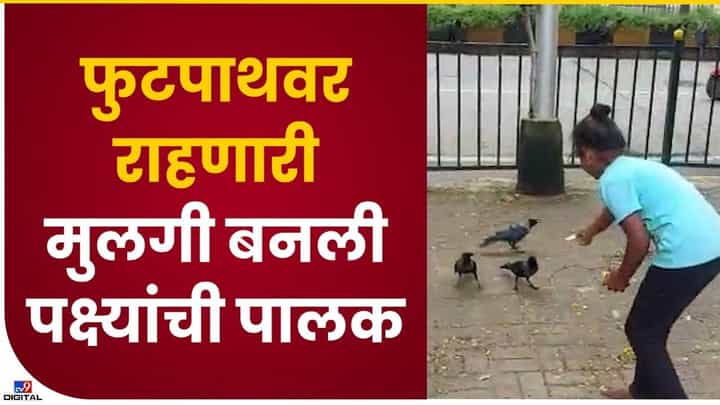 प्राणी पक्षांवर प्रेम करणारी मनिषा... प्राणी पक्षांवर प्रेम करणारी मनिषा...