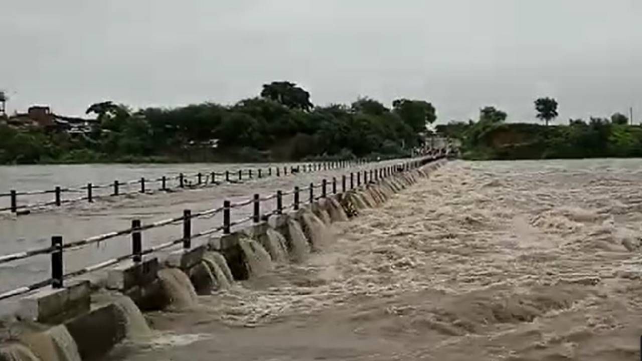 Rain : पावसाचा जोर ओसरला, धरणामध्ये पाण्याची आवक सुरुच, काय आहे राज्यातील प्रमुख धरणांची स्थिती?