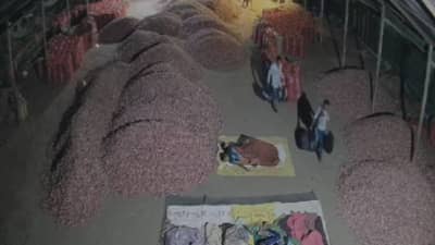 Malegoan : भुरट्या चोरांचा मजुरांच्या खिश्याला फटका, कष्टाचे पैसे-मोबाईल आणि इतर वस्तू लुटल्या, घटना सीसीटीव्हीत कैद