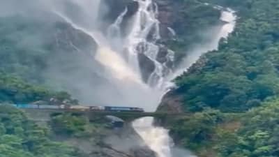 Video : फेसाळता धबधबा, पुलावरून धावणारी रेल्वे, डोळ्याला सुखावणारा दुधसागर धबधबा...
