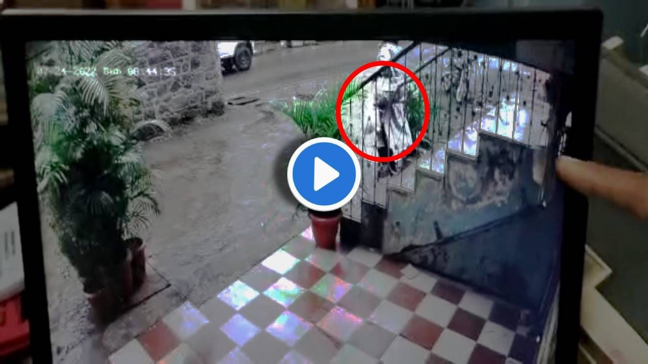 Video: काय बाईए! एक दिवसाचं बाळ चक्क बॅगेतून पळवलं! नर्स असल्याचं भासवून चिमुरड्याची चोरी, ठिकाण- सांगली
