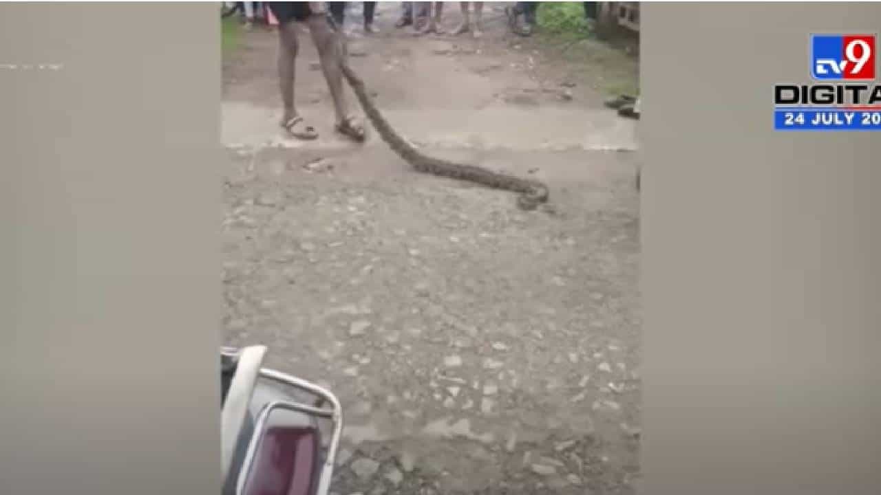 Bhandara : भंडाऱ्यात घरात आढळला 8 फूट अजगर