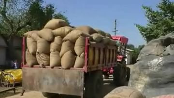 Gondia Paddy : धान खरेदी घोटाळा प्रकरण, एका तासात साडेचार लाखांची धानखरेदी, अहवाल अधिकाऱ्यांकडे सादर