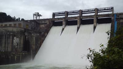 Nashik | गंगापूर धरणातून 3486 तर दारणामधून 7244 क्यूसेक पाण्याचा विसर्ग सुरू, धरण पाणलोट क्षेत्रात पावसाची संततधार सुरूच!