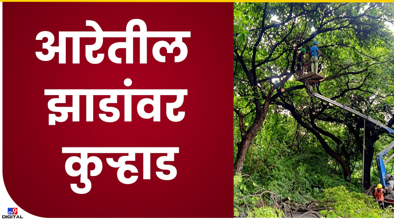 Aarey Colony : आरे रस्ता वृक्ष छाटणीसाठी बंद! अनेकांची गैरसोय, छाटणीचा व्हिडीओही समोर