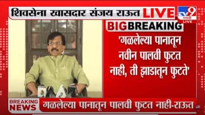 Sanjay Raut : गळून पडलेल्या पानातून नवीन पालवी फुटत नाही, ती झाडातून फुटते, त्यांनी अभ्यास करावा, शिवसेना नेते संजय राऊतांचा टोला